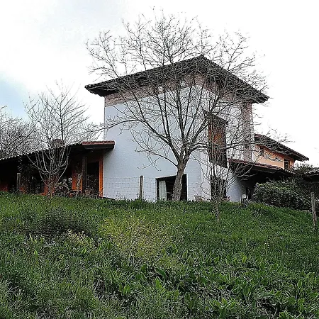 Rural Valleoscuru